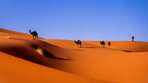 Soltour-Marruecos