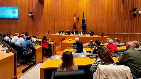 La jornada se ha celebrado en la sala Ernest Lluch. Foto: Teruel Existe