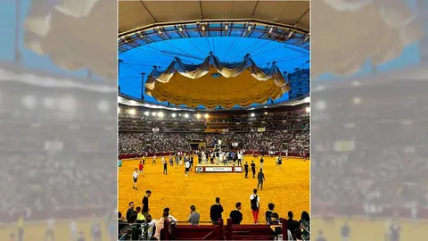toros