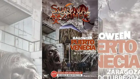 survival-zombie