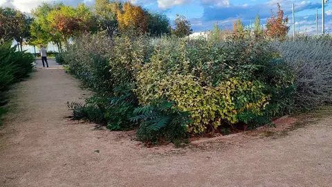 Las &uacute;ltimas quejas de los vecinos han sido por la "dejadez" de sus zonas verdes.