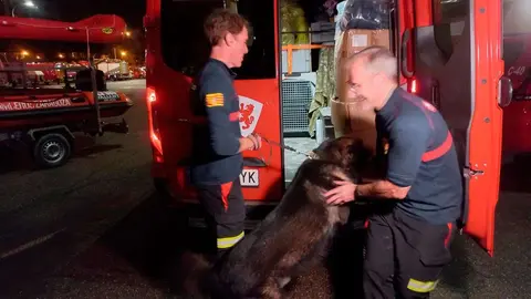 BOMBEROS-2