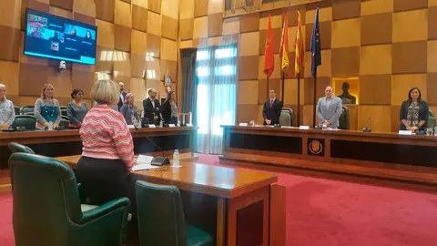 El Consejo de Ciudad se ha celebrado este mi&eacute;rcoles.