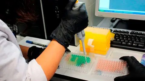 El 78% est&aacute;n dirigidos a &aacute;reas STEM que la administraci&oacute;n considera estrat&eacute;gicas como tecnol&oacute;gicas, agrarias, biom&eacute;dicas y experimentales