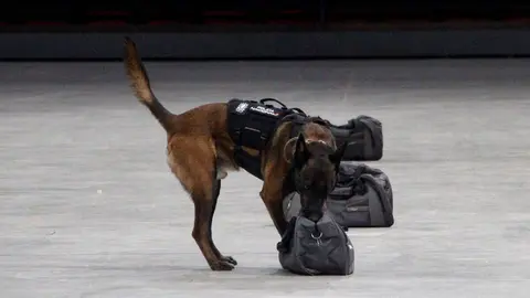 Un perro de la Polic&iacute;a Nacional durante la IV Exhibici&oacute;n de Medios Policiales, en el Pabell&oacute;n Pr&iacute;ncipe Felipe
