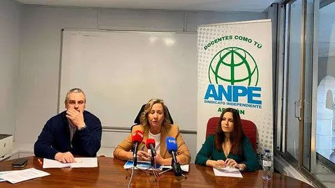 Pedro Manuel Andr&eacute;s, Teresa Hern&aacute;ndez y Laura Pilar Calvo, del sindicato docente ANPE, durante la presentaci&oacute;n del informe anual