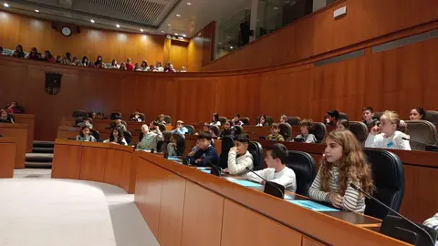 Los alumnos de sexto de Primaria, que han sido diputados por un d&iacute;a, han presentado diferentes propuestas y compromisos al resto de alumnos