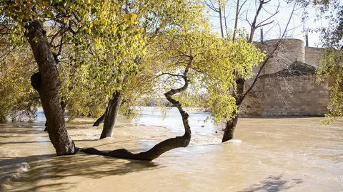 ebro2