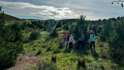 bosque-zaragozanos-caseta-navidad
