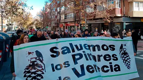 manifestacion-pinares-de-venecia-7