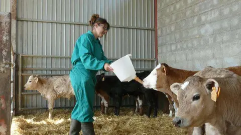 El Departamento de Agricultura, Ganader&iacute;a y Alimentaci&oacute;n ha destinado en total 20.284.415,18 euros a ayudas ganaderas de la PAC | Foto: DGA