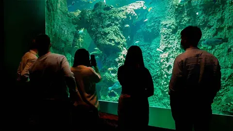 acuario