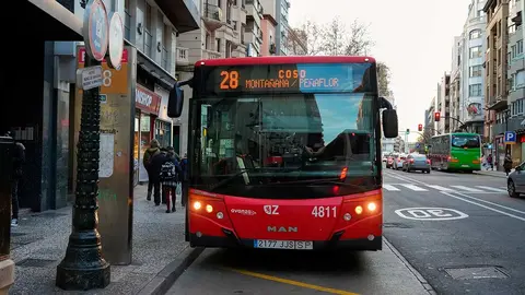 linea-28
