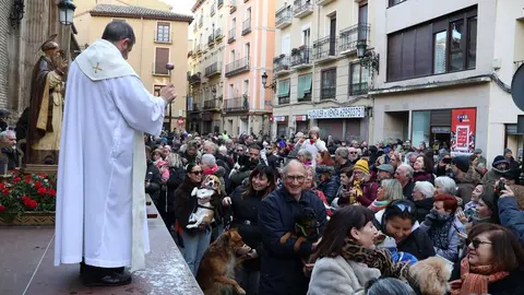 _animales-bendici&oacute;n_San Ant&oacute;n_1-3