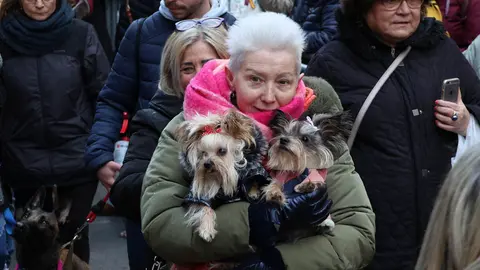 _animales-bendici&oacute;n_San Ant&oacute;n_1-4
