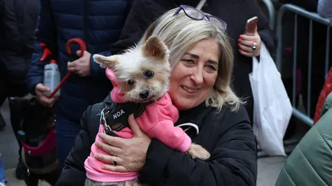 _animales-bendici&oacute;n_San Ant&oacute;n_1-5