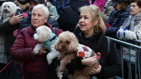 _animales-bendici&oacute;n_San Ant&oacute;n_1-6