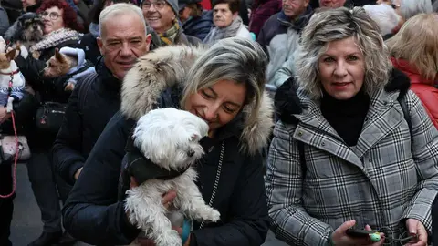 _animales-bendici&oacute;n_San Ant&oacute;n_1-9