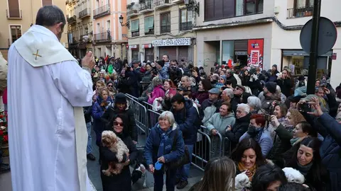 _animales-bendici&oacute;n_San Ant&oacute;n_1-10