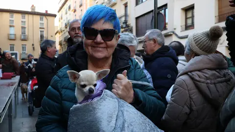 _animales-bendici&oacute;n_San Ant&oacute;n_1-13
