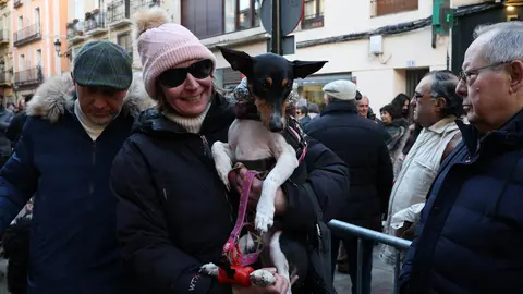 _animales-bendici&oacute;n_San Ant&oacute;n_1-18