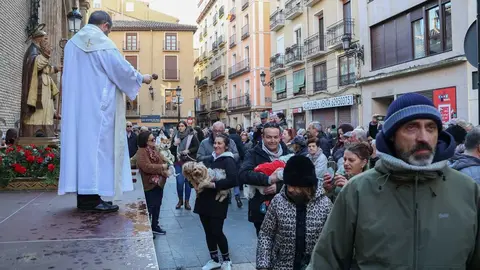_animales-bendici&oacute;n_San Ant&oacute;n_1-19