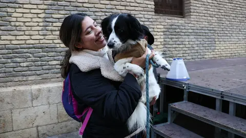_animales-bendici&oacute;n_San Ant&oacute;n_1-22