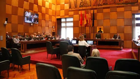 pleno-viogen-zaragoza
