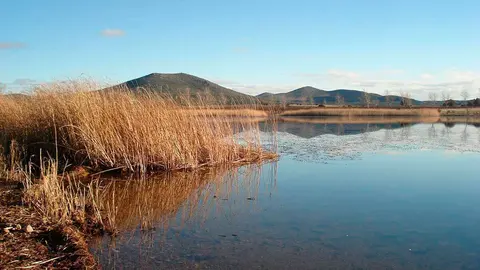 El Centro de Interpretaci&oacute;n de la Reserva Natural Dirigida de la Laguna de Gallocanta, por la que pasan cada a&ntilde;o miles de amantes de la naturaleza, ofrecer&aacute; sus populares rutas de observaci&oacute;n