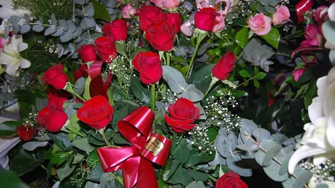 ramos-rosas