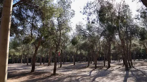 Pinares-venecia-parque-atracciones-psoe-zaragoza-2