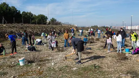 plantaciones-vecinales-distrito-sur-valdespartera-arboles-zaragoza