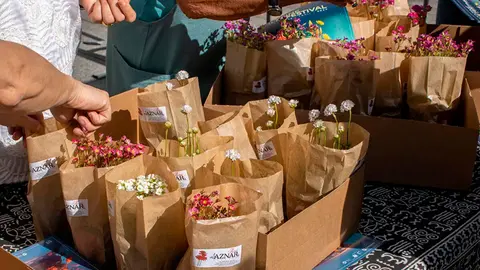 flores1