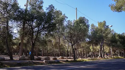 pinares-manifestacion-plataforma-torrero-protestas-vecinos