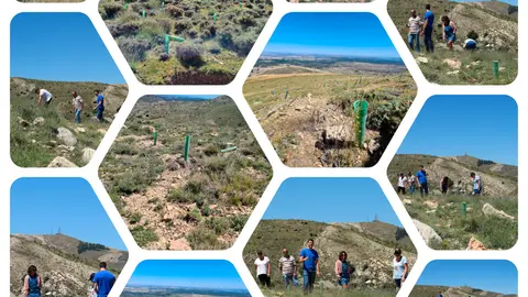 Este proyecto cuenta con una superficie de 1,1 hect&aacute;reas de especies aut&oacute;ctonas