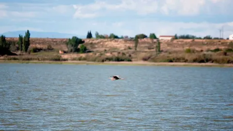 laguna-sari&ntilde;ena-portada