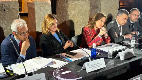 Chueca ha insistido en que los ayuntamientos necesitan flexibilidad para invertir en proyectos financieramente sostenibles