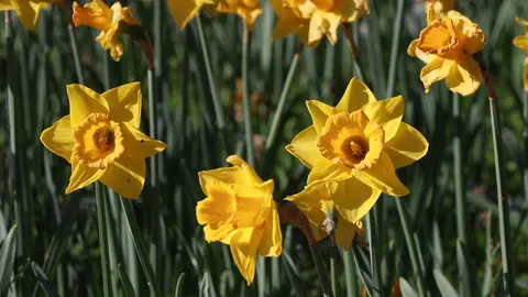 9Y3A6814