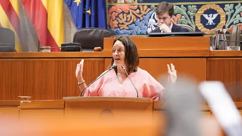 Imagen de archivo. La consejera Sus&iacute;n durante una intervenci&oacute;n. Foto: Cortes de Arag&oacute;n
