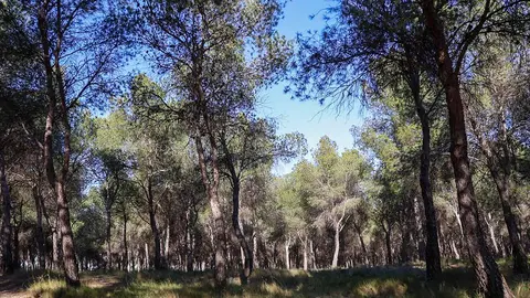 parque-atracciones-torrero-pinares-venecia-vecinos-ayuntamiento-zaragoza