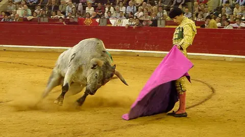 Servimedia-Toros