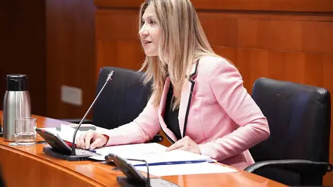 La vicepresidenta en el Gobierno de Arag&oacute;n, Mar Vaquero, este lunes en su comparecencia en la Comisi&oacute;n. Foto: Cortes de Arag&oacute;n