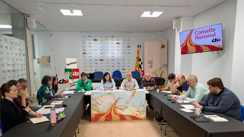 Reuni&oacute;n del Consello. Foto: CHA