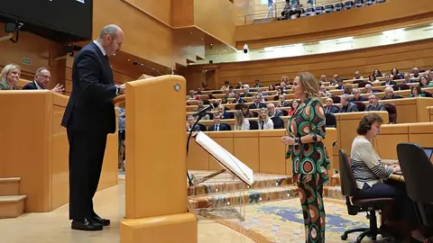 Mayte P&eacute;rez durante su toma de posesi&oacute;n en el Senado. Foto: PSOE