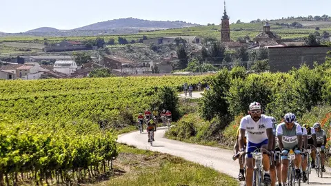 bici paisaje