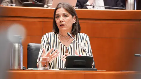 La interventora Ana G&oacute;mez Barrionuevo. Foto: Cortes de Arag&oacute;n