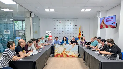 Reuni&oacute;n del Consello este lunes. Foto: CHA