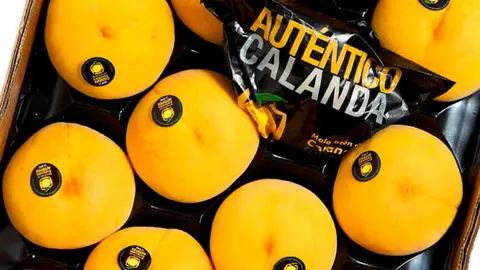 Melocot&oacute;n de Calanda