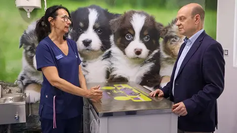 vet-vox