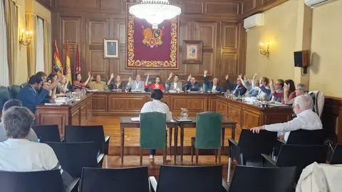pleno junio